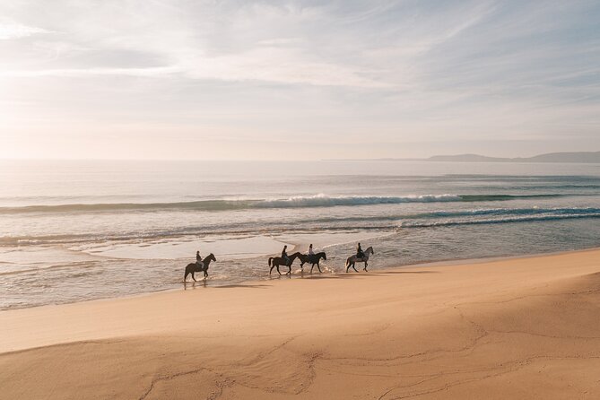 Horse Riding on the Beach with private transfer from Lisbon - Herdade da Comporta and its open coastal setting
