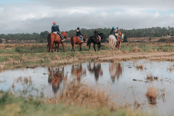 Horse Riding on the Beach with private transfer from Lisbon - Riding through forest, dunes, and rice country