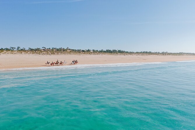 Horse Riding on the Beach with private transfer from Lisbon - Is $291.56 per person good value?
