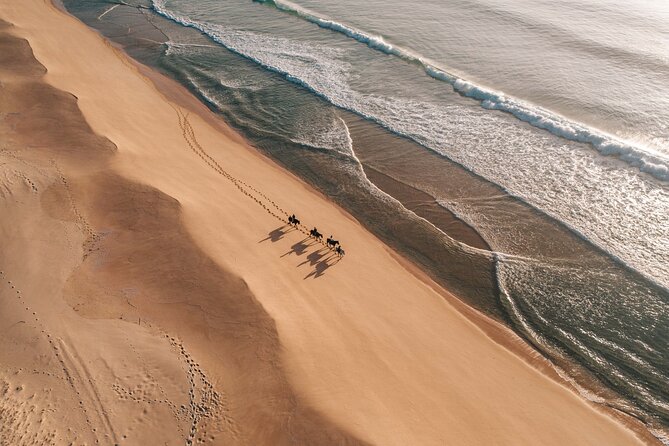 Horse Riding on the Beach with private transfer from Lisbon - Who should book this Comporta ride?