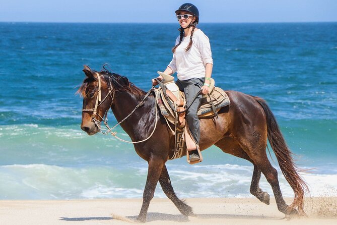 Horse Riding on the beach With Transfer From Sharm El Sheikh - Key points at a glance