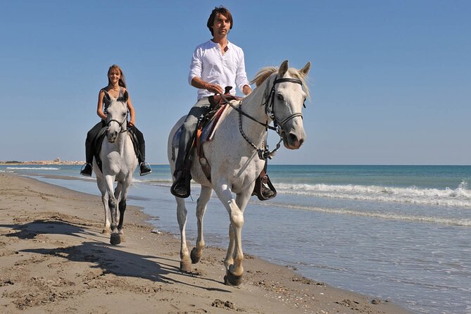 Horse Riding on the beach With Transfer From Sharm El Sheikh - Riding beside the Red Sea or across the desert