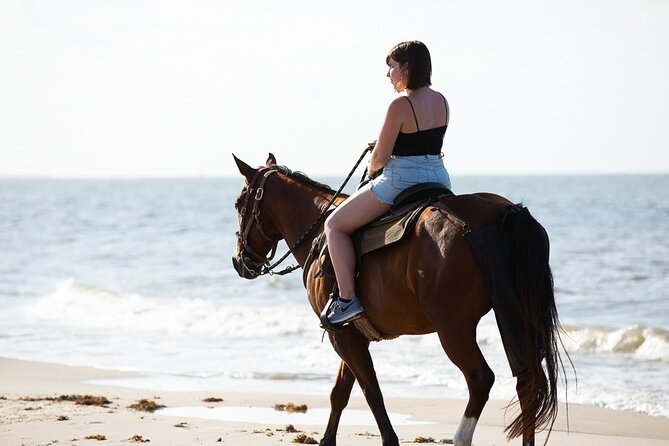 Horse Riding on the beach With Transfer From Sharm El Sheikh - The price looks excellent, with one important extra