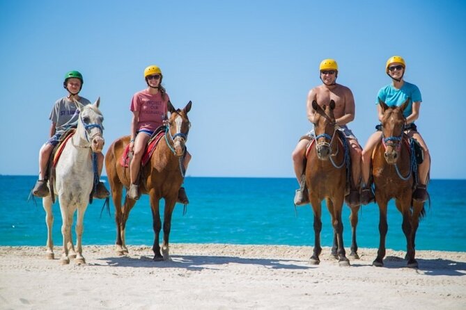 Horse Riding on the beach With Transfer From Sharm El Sheikh - Hotel pickup keeps the outing simple