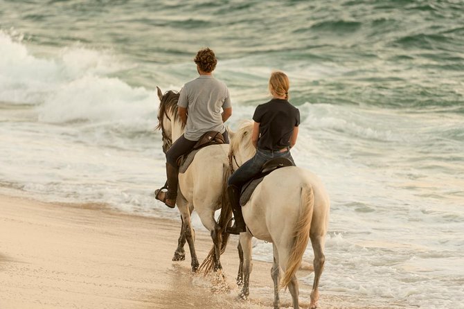 Horse Riding on the beach - Arabian horses and a beginner-friendly pace