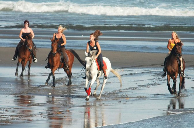 Horse Riding on the Black Sand Beach and Free Hotel Transfers - How the black sand changes the experience