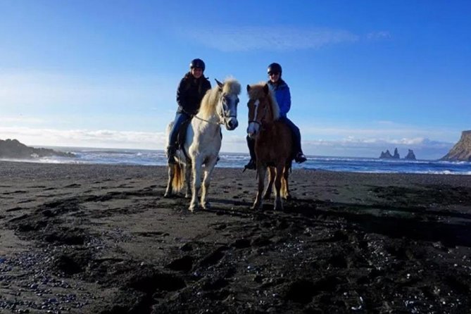 Horse Riding on the Black Sand Beach and Free Hotel Transfers - Who will get the most from this ride