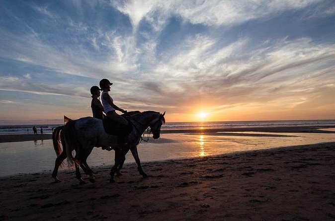 Horse Riding on the Black Sand Beach and Free Hotel Transfers - Timing, fitness, and practical limits