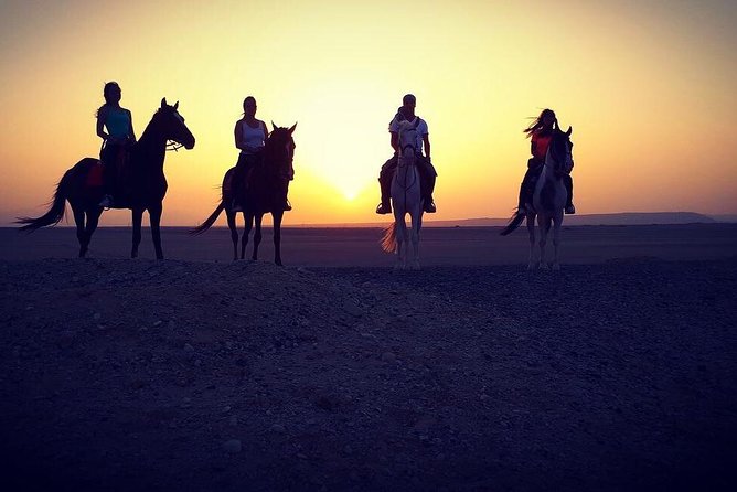Horse Riding One Hour at Desert With Transfer - Sharm El Sheikh - One hour across the desert plain