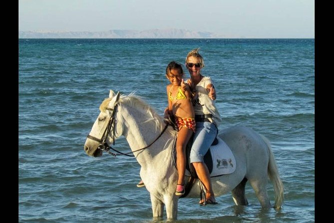 Horse Riding One Hour at Desert With Transfer - Sharm El Sheikh - What the $12 price really offers