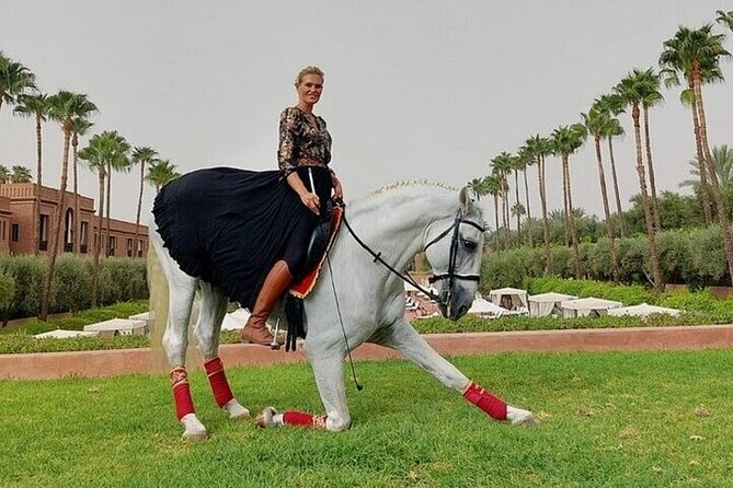 Horse Riding one hour Palmeraie Grove & Transfer - Marrakesh - Key points to know before booking