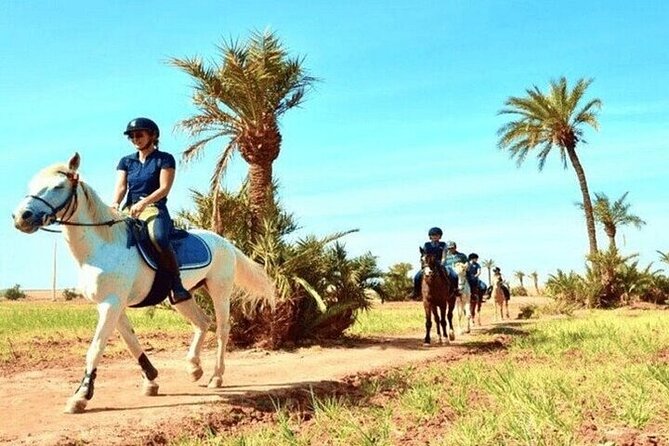 Horse Riding one hour Palmeraie Grove & Transfer - Marrakesh - Leaving Marrakech for the Palmeraie
