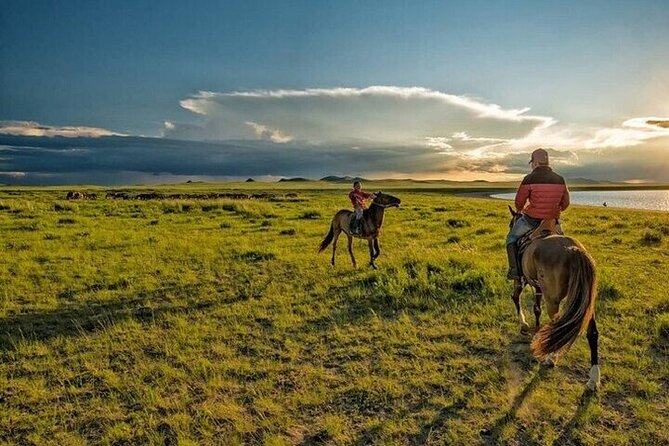 Horse Riding one hour Palmeraie Grove & Transfer - Marrakesh - Riding through palm groves and desert air