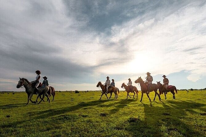Horse Riding one hour Palmeraie Grove & Transfer - Marrakesh - How the transfer affects the value