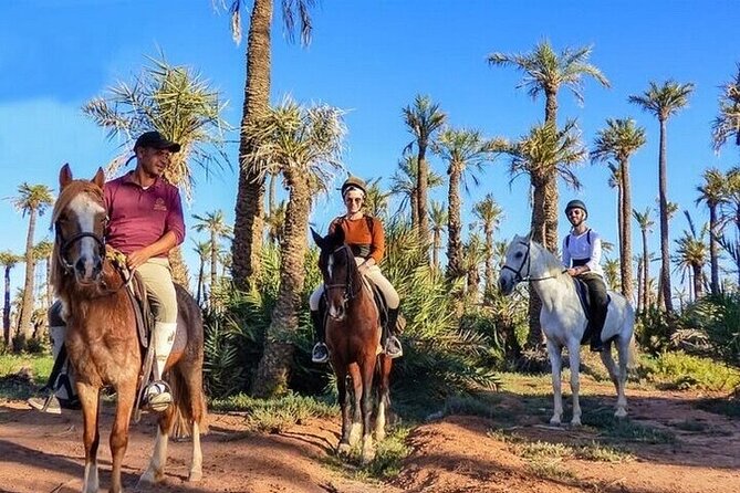 Horse Riding one hour Palmeraie Grove & Transfer - Marrakesh - Who will enjoy this ride most