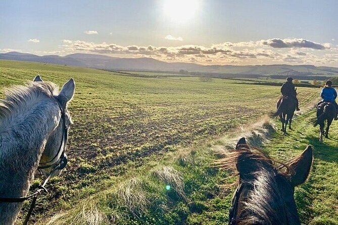 Horse Riding one hour Palmeraie Grove & Transfer - Marrakesh - Practical advice for a smoother outing