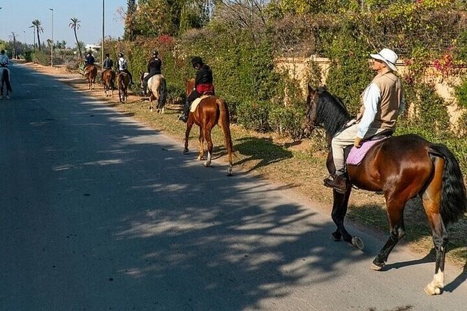 Horse Riding one hour Palmeraie Grove & Transfer - Marrakesh - Mint tea before the saddle