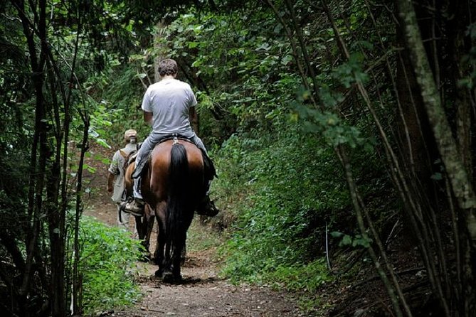 Horse Riding Small Group near Lucca - Cancellation and weather rules