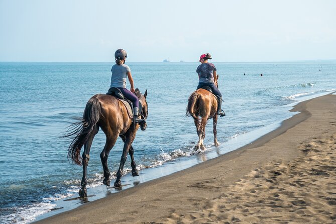 Horse Riding & Swimming Experience in the Sea & Desert - Hurghada - Key points to know before booking