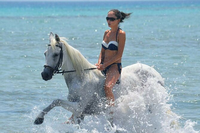 Horse Riding & Swimming Experience in the Sea & Desert - Hurghada - From your hotel to the Hurghada stable