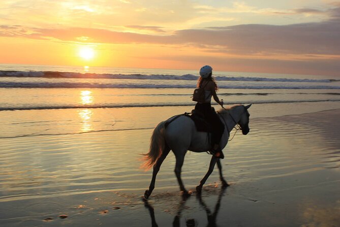 Horse Riding & Swimming Experience in the Sea & Desert - Hurghada - The beach ride and Red Sea views