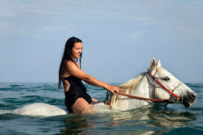 Horse Riding & Swimming Experience in the Sea & Desert - Hurghada - Swimming with your horse in the Red Sea