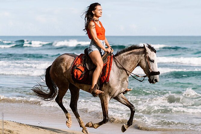 Horse Riding & Swimming Experience in the Sea & Desert - Hurghada - Getting ready for three hours in the saddle