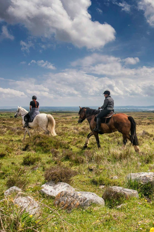 Horse riding the dirt trail. Clare. Guided. 1 hour - Key points for this one-hour Clare ride