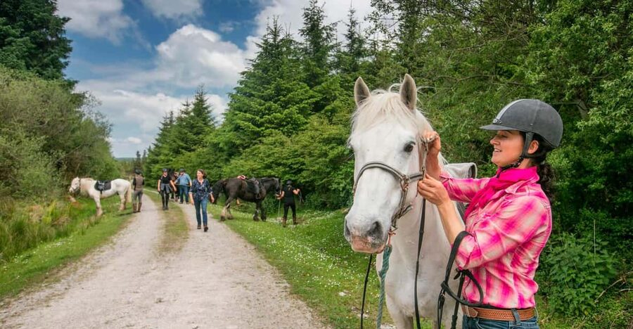Horse riding the dirt trail. Clare. Guided. 1 hour - Riding through Clare’s woods and famine ruins