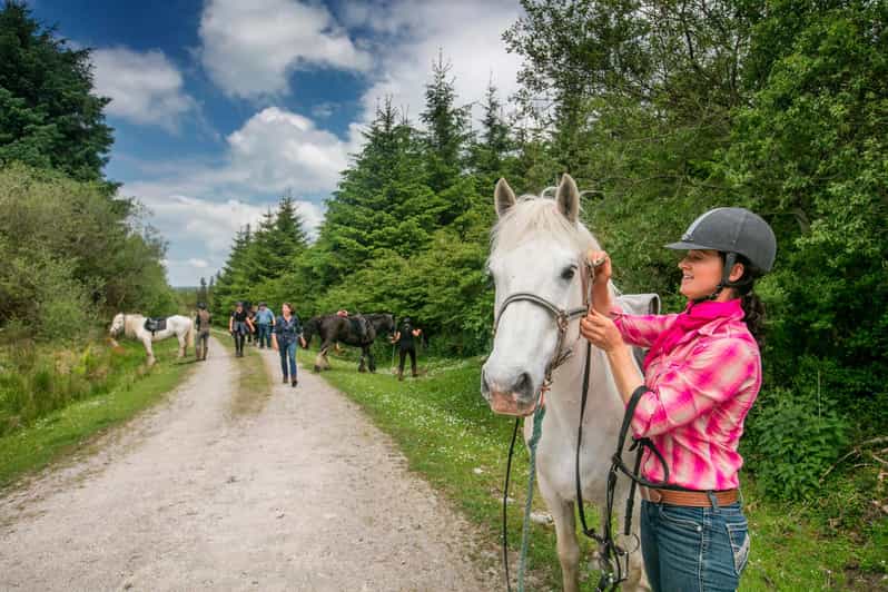Horse riding the dirt trail. Clare. Guided. 1 hour - What the one-hour itinerary feels like