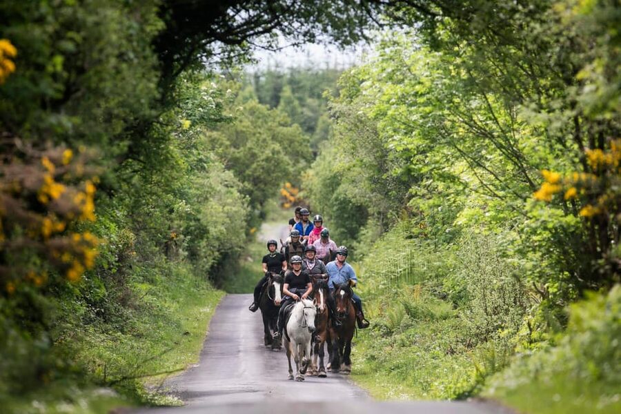 Horse riding the mountain trail. Clare. Guided, 2 hours - Climbing Slieve Elva for Atlantic views