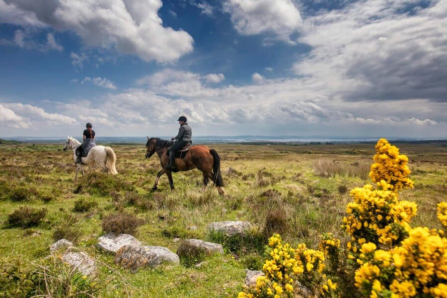 Horse riding the mountain trail. Clare. Guided, 2 hours - A closer look at the route and scenery