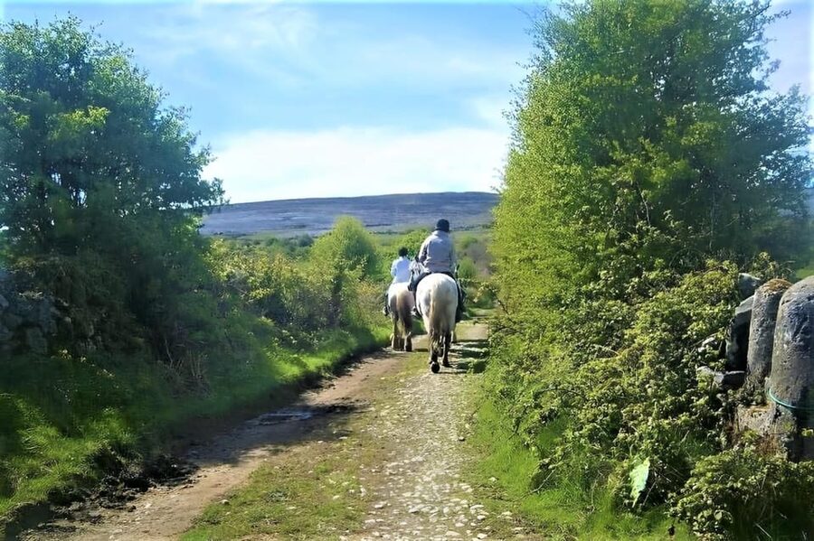 Horse riding the mountain trail. Clare. Guided, 2 hours - Horses, equipment, and the feel of the stable