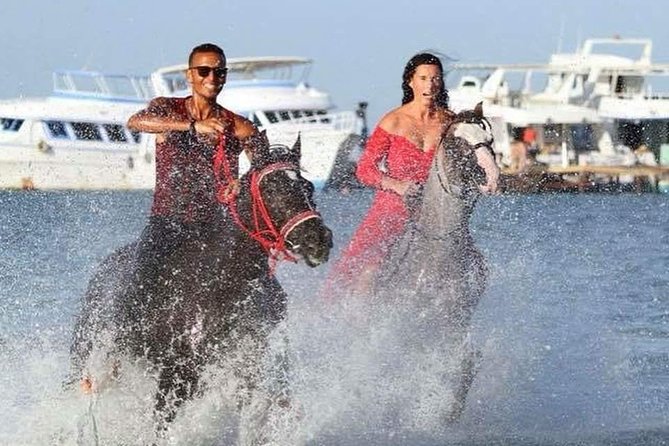 Horse Riding Tour 2 Hours on Sea And Desert & Transfer -Hurghada - The horses are part of the decision