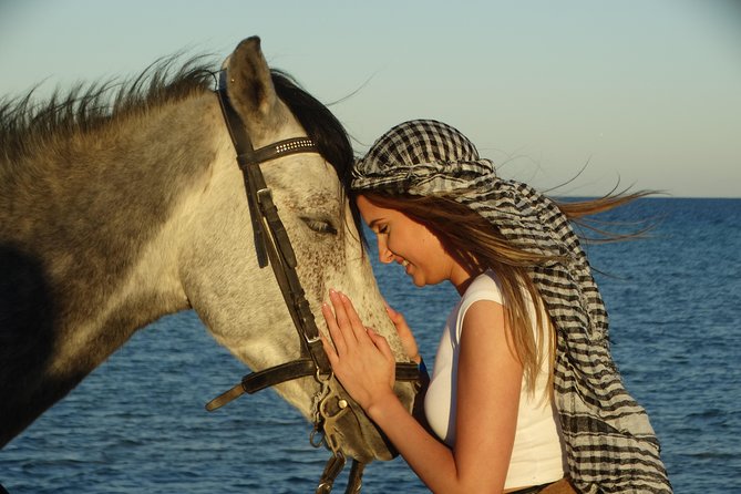 Horse Riding Tour 2 Hours on Sea And Desert & Transfer -Hurghada - Who will enjoy this ride most