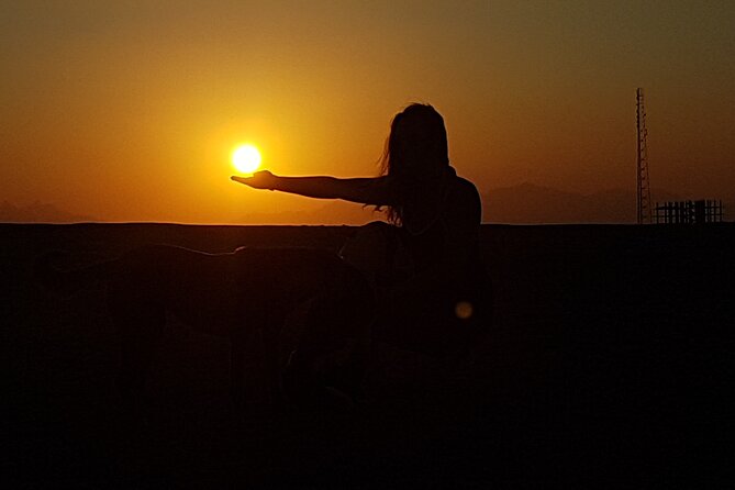 Horse Riding Tour 2 Hours Sea And Desert with Transfer - Hurghada - Key things to know before booking