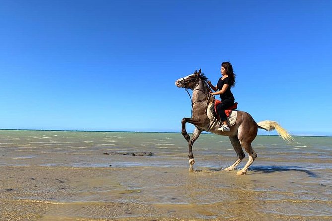 Horse Riding Tour 2 Hours Sea And Desert with Transfer - Hurghada - Getting comfortable in the saddle