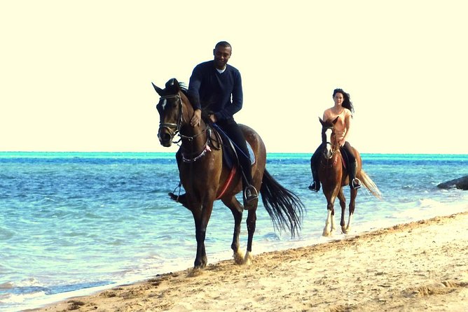 Horse Riding Tour 2 Hours Sea And Desert with Transfer - Hurghada - Who will enjoy this horseback ride