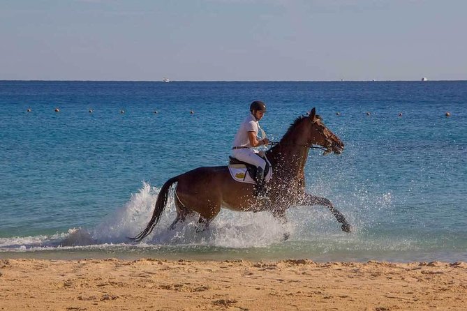 Horse Riding Tour 2 Hours Sea And Desert with Transfer - Hurghada - Practical questions to ask before you go