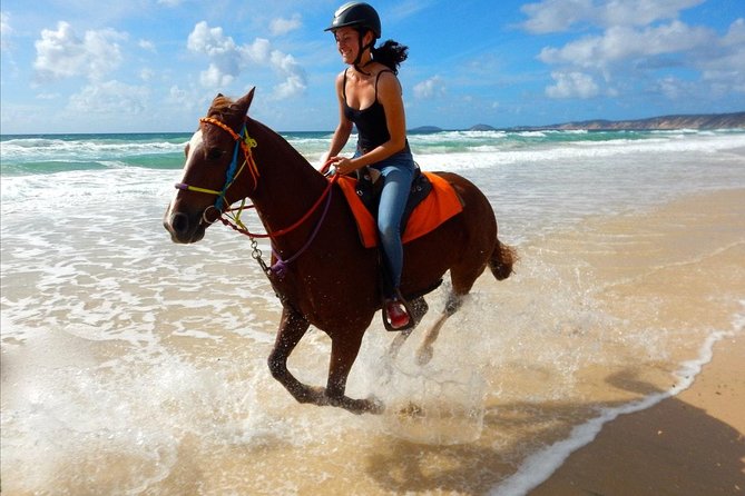 Horse Riding Tour 2 Hours Sea And Desert with Transfer - Hurghada - Crossing Hurghada’s desert on horseback