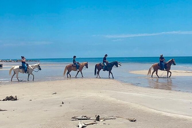 Horse Riding Tour at the Beach in Miami - What happens before you reach the beach
