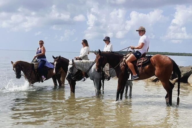 Horse Riding Tour at the Beach in Miami - Reaching the shoreline on horseback
