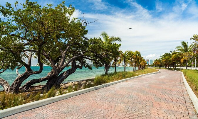 Horse Riding Tour at the Beach in Miami - Through the forest at Historic Virginia Key Beach Park
