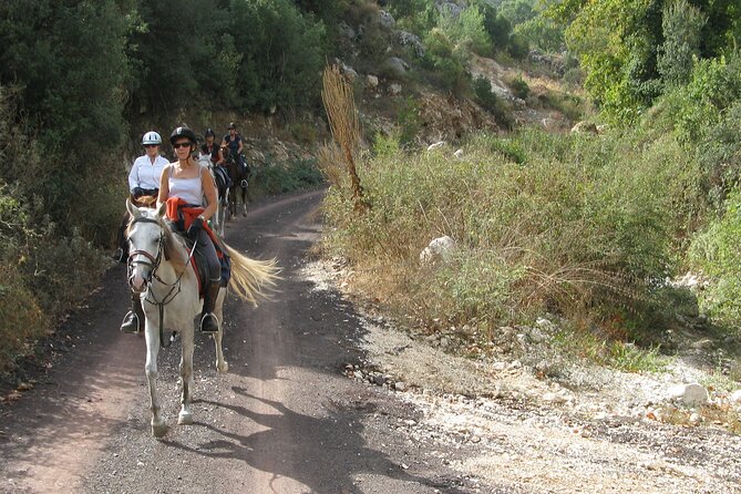 Horse Riding Tour in Bodrum with Hotel Pick Up - Key points before you book