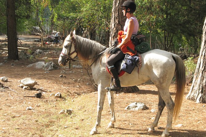 Horse Riding Tour in Bodrum with Hotel Pick Up - Leaving Bodrum behind for the countryside