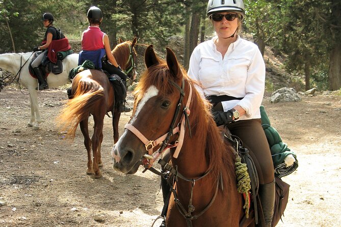 Horse Riding Tour in Bodrum with Hotel Pick Up - One hour on the trail