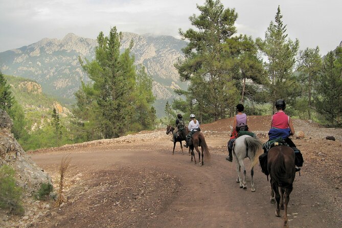 Horse Riding Tour in Bodrum with Hotel Pick Up - What the $75.44 price really covers