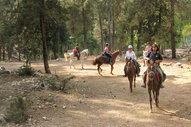 Horse Riding Tour in Bodrum with Hotel Pick Up - Who will enjoy this Bodrum horse ride