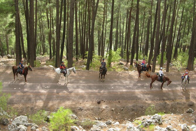 Horse Riding Tour in Bodrum with Hotel Pick Up - Weather, timing, and flexibility