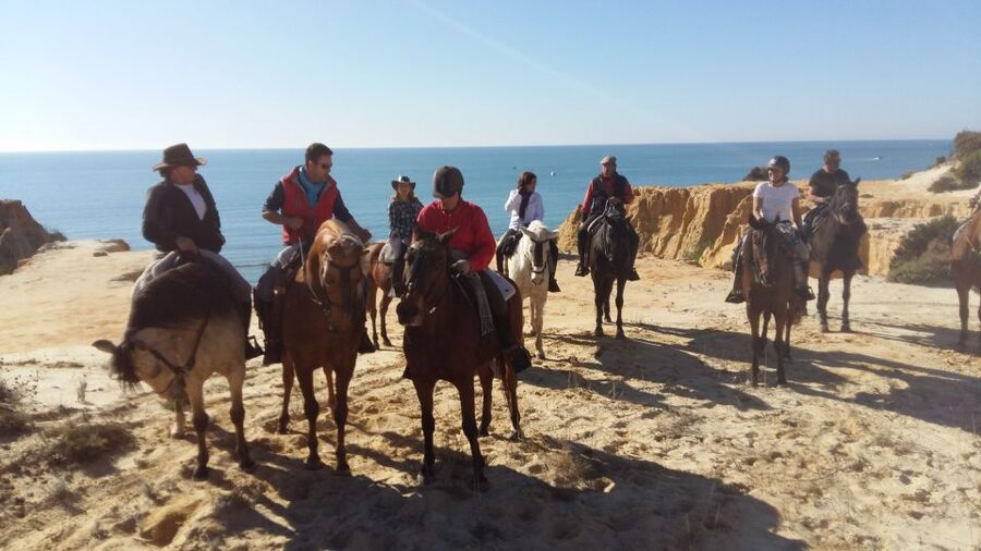 Horse-Riding Tour in Doñana National Park - From Mazagón to Doñana on horseback